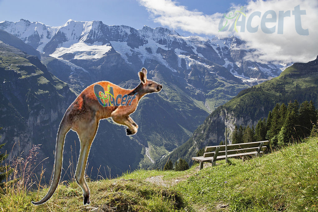 A kangooroo in the Swiss alps